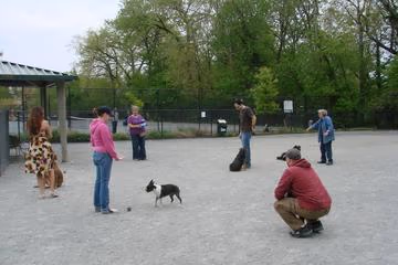 Newark Street Dog Park